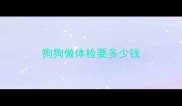 狗狗做体检要多少钱