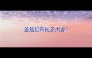 圣越拉布拉多犬舍
