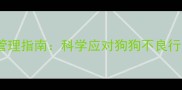 拉布拉多情绪管理指南科学应对狗狗不良行为与心理需求