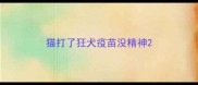 猫打了狂犬疫苗没精神