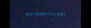 捡的小狗需要打什么疫苗