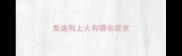 泰迪狗上火有哪些症状