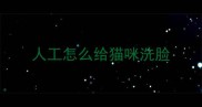 人工怎么给猫咪洗脸