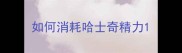 如何消耗哈士奇精力
