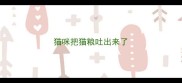 猫咪把猫粮吐出来了