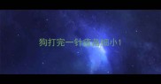 狗打完一针疫苗细小