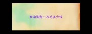 泰迪狗剃一次毛多少钱