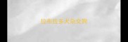 拉布拉多犬杂交狗