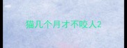 猫几个月才不咬人