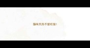 猫咪天热不爱吃饭