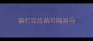 猫打完疫苗用隔离吗