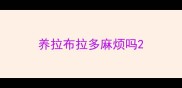 养拉布拉多麻烦吗