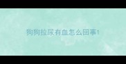 狗狗拉尿有血怎么回事