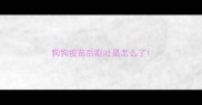 狗狗疫苗后呕吐是怎么了