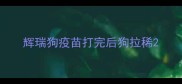 辉瑞狗疫苗打完后狗拉稀
