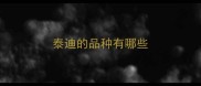 泰迪的品种有哪些