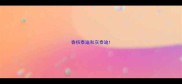香槟泰迪和灰泰迪