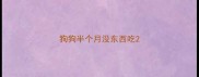 狗狗半个月没东西吃
