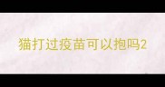 猫打过疫苗可以抱吗