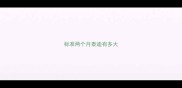 标准两个月泰迪有多大