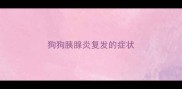 狗狗胰腺炎复发的症状