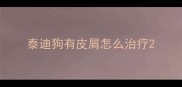 泰迪狗有皮屑怎么治疗