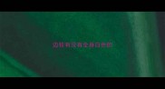 边牧有没有全身白色的