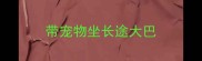 带宠物坐长途大巴