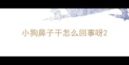 小狗鼻子干怎么回事呀