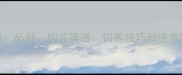 宠物猴饲养全攻略品种购买渠道饲养技巧和注意事项附高清图