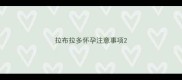 拉布拉多怀孕注意事项