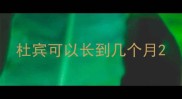 杜宾可以长到几个月