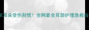 猫咪打架耳朵受伤别慌全网最全耳部护理急救指南