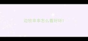 边牧串串怎么看好坏