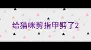 给猫咪剪指甲劈了