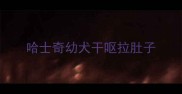 哈士奇幼犬干呕拉肚子