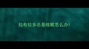 拉布拉多总是咳嗽怎么办