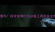 电击项圈对狗狗有害吗科学宠物行为训练工具的安全性及正确使用指南
