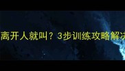 哈士奇一离开人就叫3步训练攻略解决分离焦虑