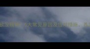 狗狗没食欲没精神5大常见原因及应对措施养宠必看