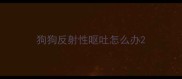 狗狗反射性呕吐怎么办