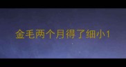 金毛两个月得了细小