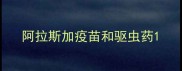 阿拉斯加疫苗和驱虫药