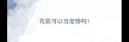 花鼠可以当宠物吗