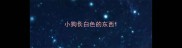 小狗长白色的东西