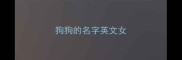狗狗的名字英文女