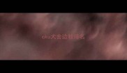 cku犬舍边牧排名