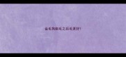 金毛狗剃毛之后毛更好