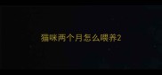 猫咪两个月怎么喂养