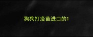 狗狗打疫苗进口的